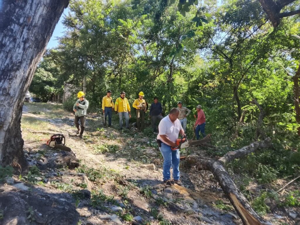 PROTECCION CIVIL EMITE RECOMENDACIONES PARA PREVENIR INCENDIOS DURANTE TEMPORADA DE QUEMA DE CAÑA