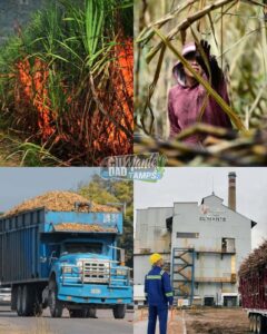 🔥 DESPERTÓ EL GIGANTE DE ACERO 🔥