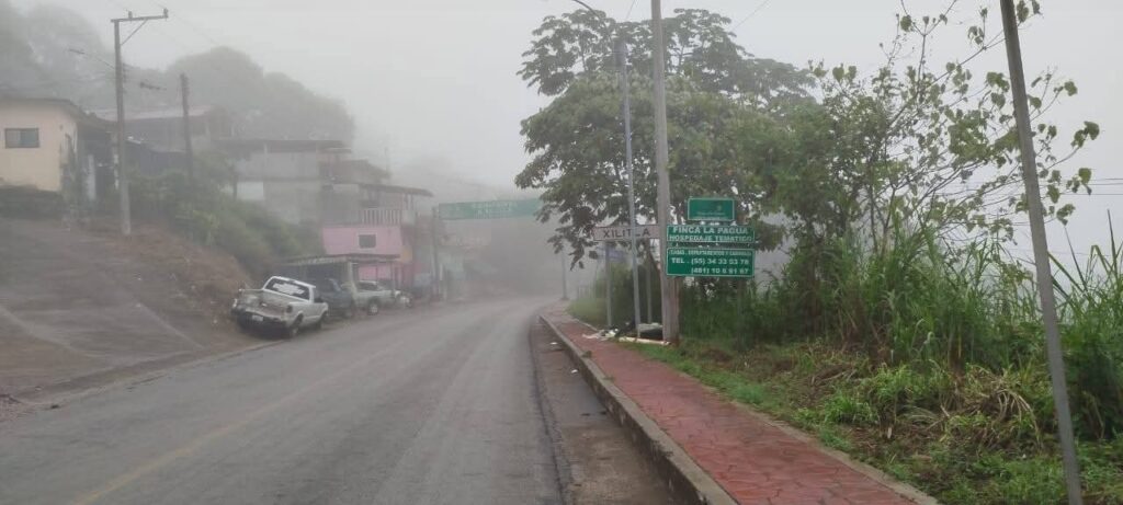 ¡Xilitla entre neblina y magia! 🌫️🌄