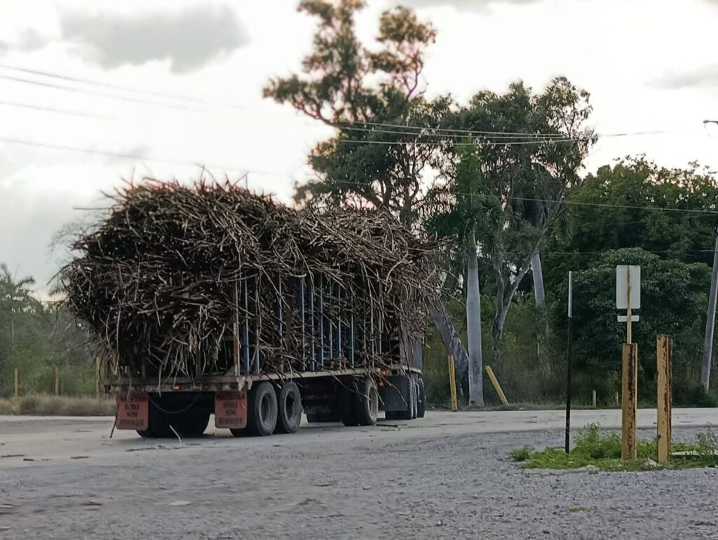 🚛 Tamaulipas se mueve… ¡y huele a caña!