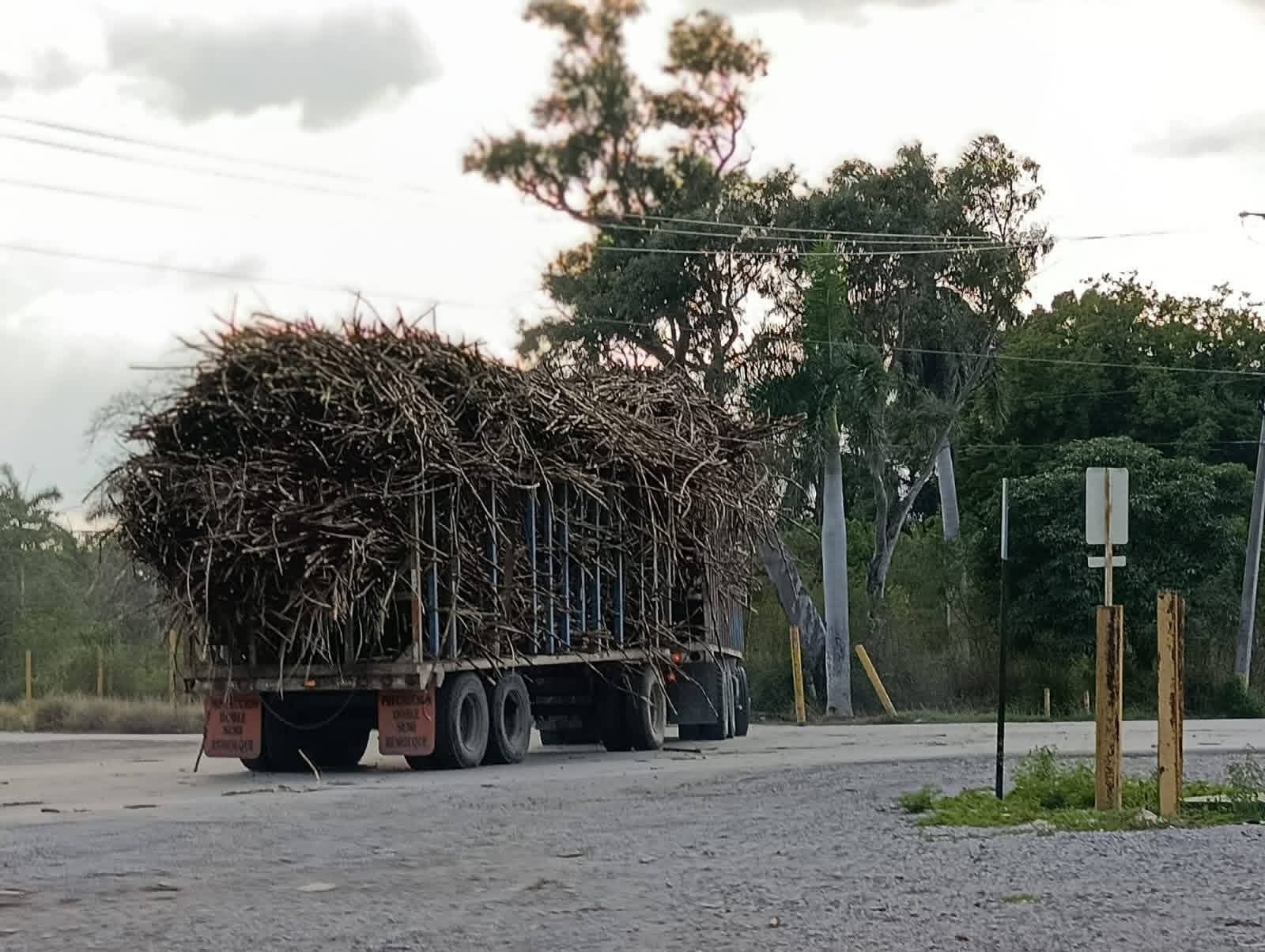 🚛 Tamaulipas se mueve… ¡y huele a caña!