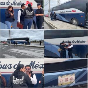 ¡ASALTO MILLONARIO EN CARRETERA! 🚨
