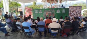 🔥 El corazón de Xilitla late al ritmo del café 🔥☕