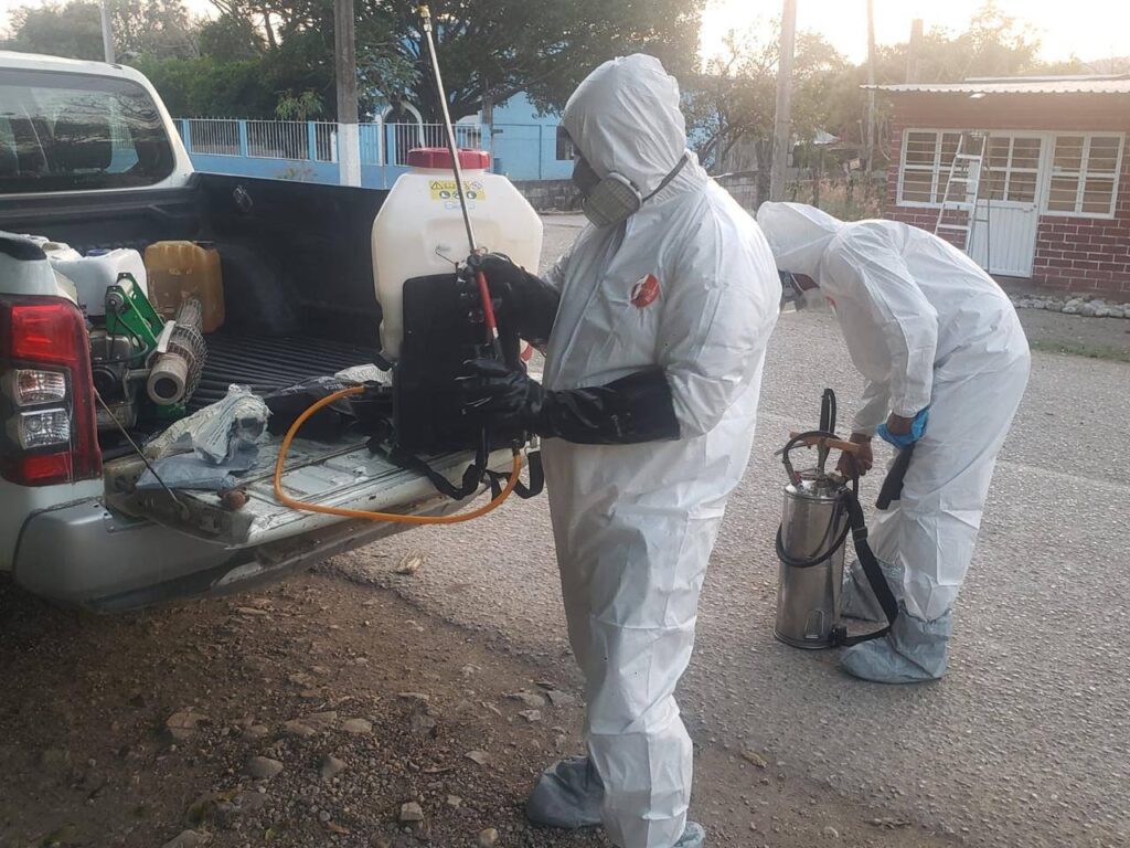 Refuerzan cerco contra el gusano barrenador en SLP