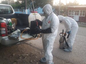 Refuerzan cerco contra el gusano barrenador en SLP