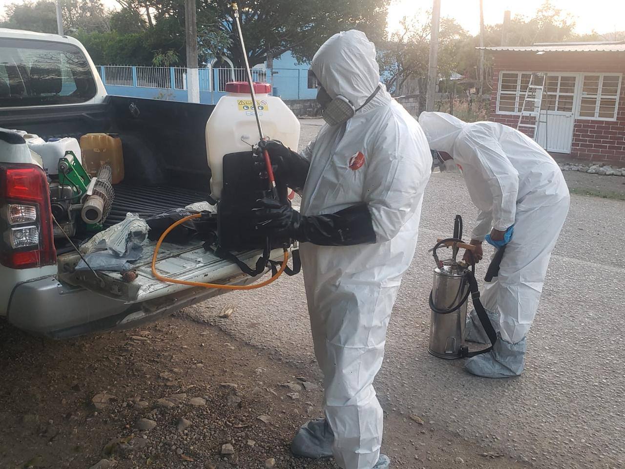 Refuerzan cerco contra el gusano barrenador en SLP