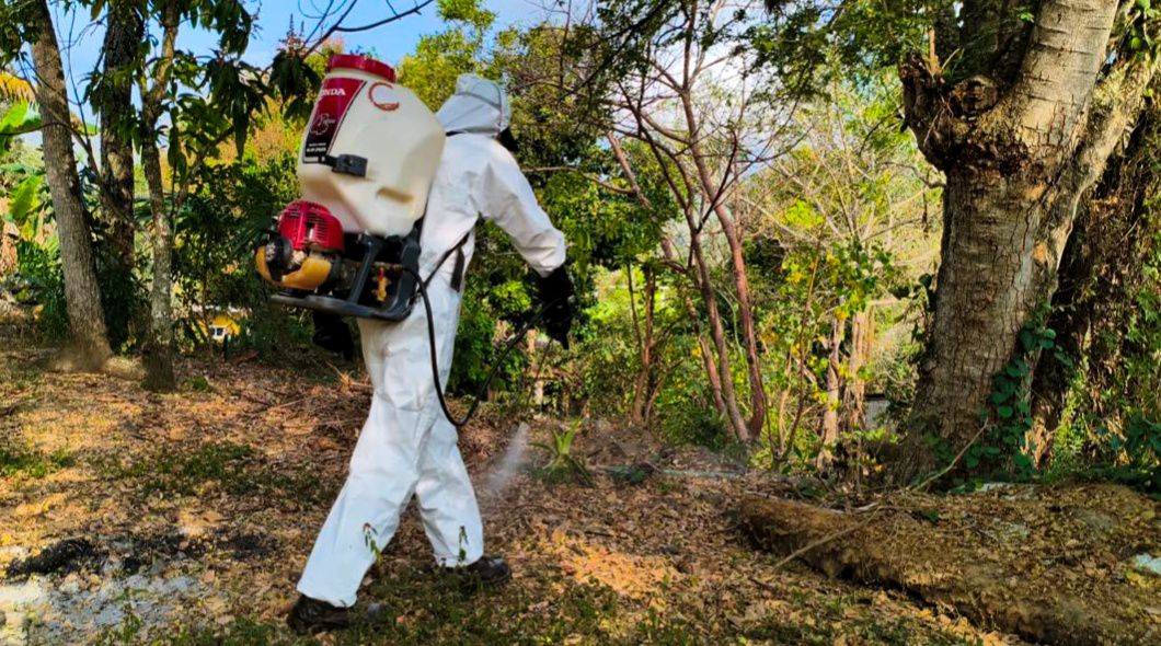 Hallaron miasis por gusano barrenador en la región