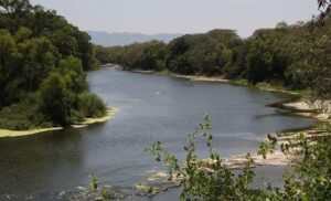 ENTRE DISCURSOS Y FOTOS: EL MEDIO AMBIENTE QUE NADIE QUIERE DEFENDER