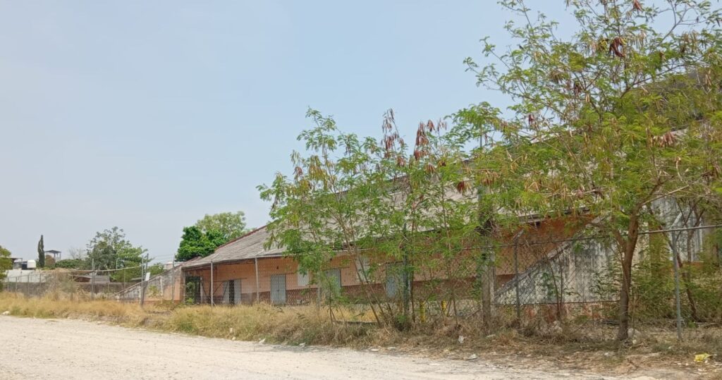 Centro de acopio: 20 años de abandono sin responsables