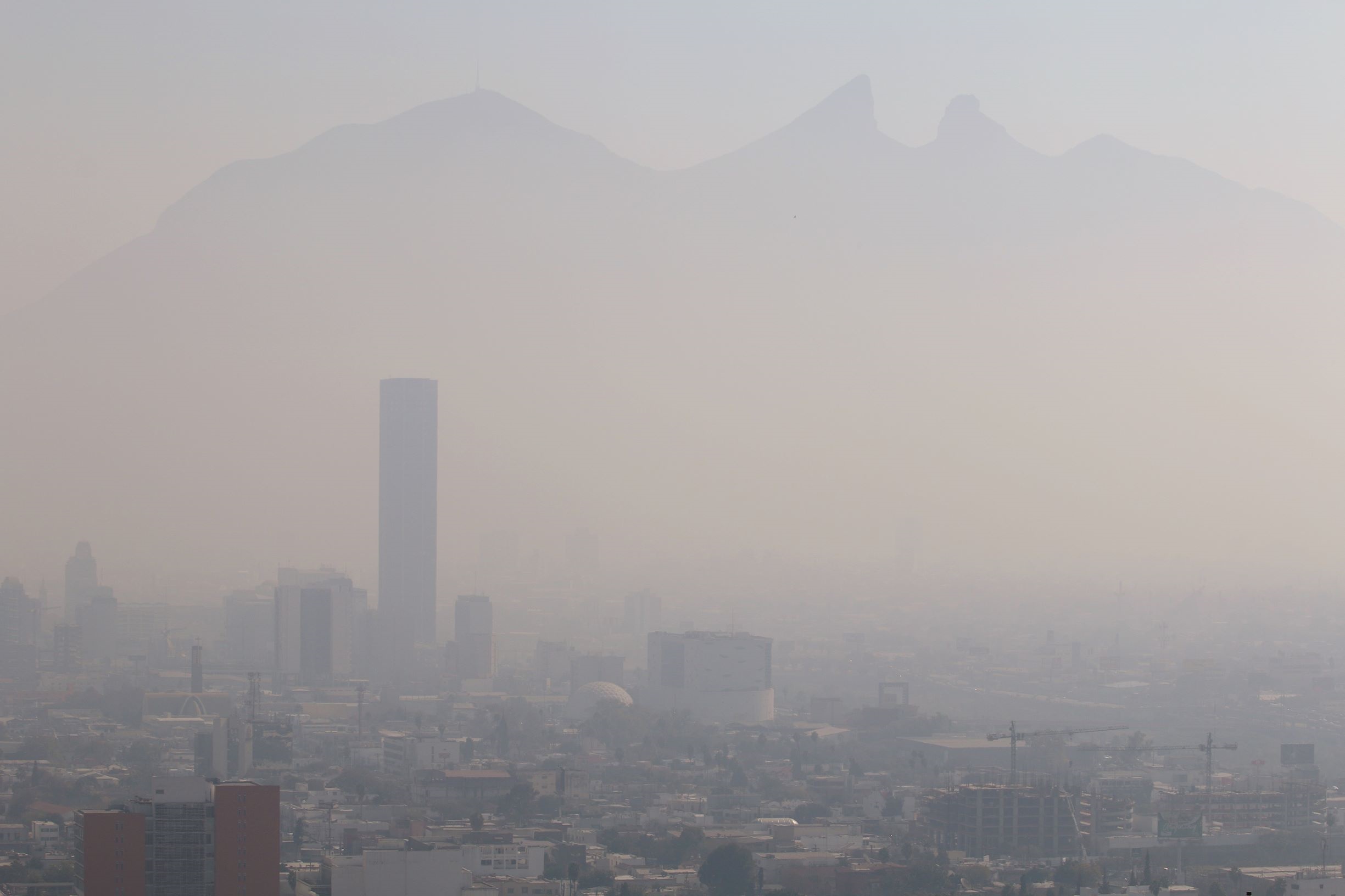 EL VENENO INVISIBLE QUE ACECHA A LA NIÑEZ EN NUEVO LEÓN