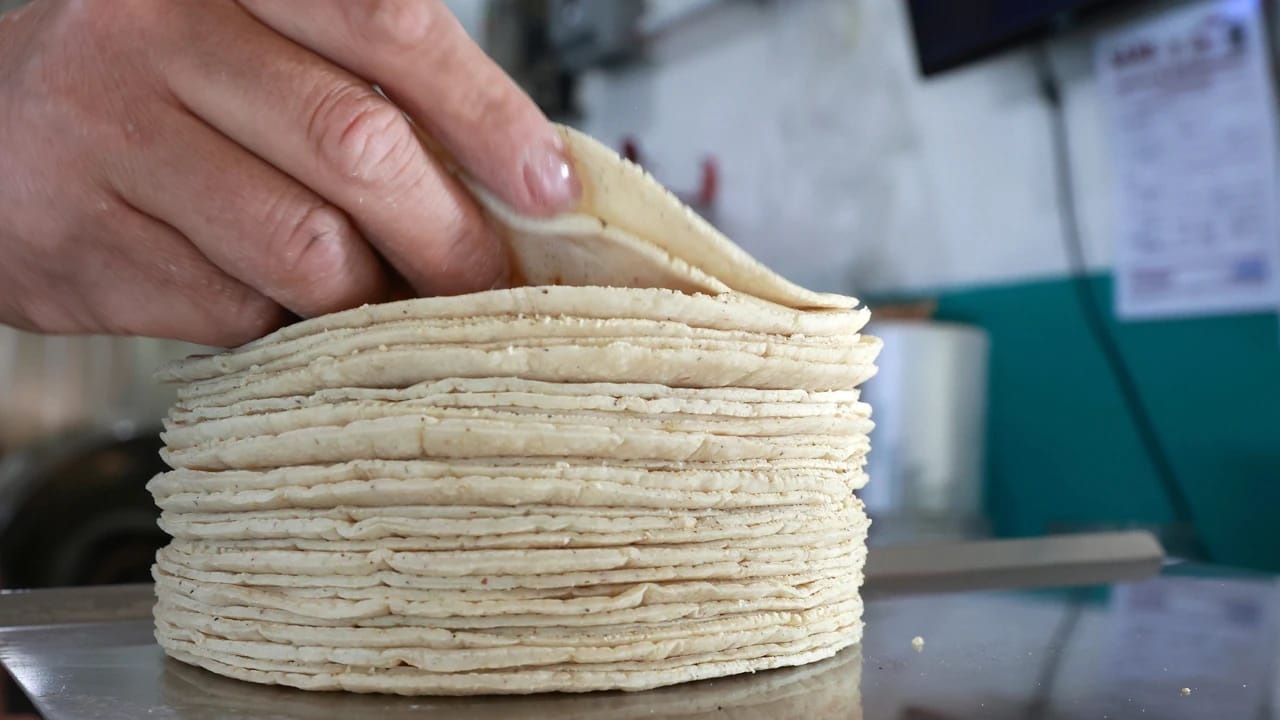 SABOTAJE PARA INCREMENTAR EL PRECIO DE LA TORTILLA