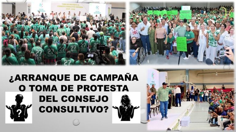 Consejeros indígenas "espectadores" en su toma de protesta del INDEPI