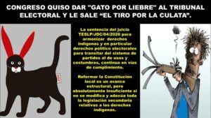 Congreso quiso dar "gato por liebre" al Tribunal Electoral y le sale el tiro por la culata