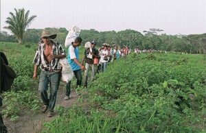 Podrían desatarse nuevas peleas por tierras ejidales