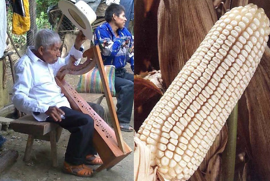 En la Huasteca los instrumentos "tienen alma" y el maíz es sagrado