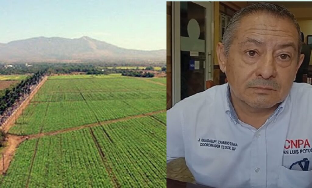 Miles de familias indígenas siguen sin tierra mientras persisten latifundios: Zamudio
