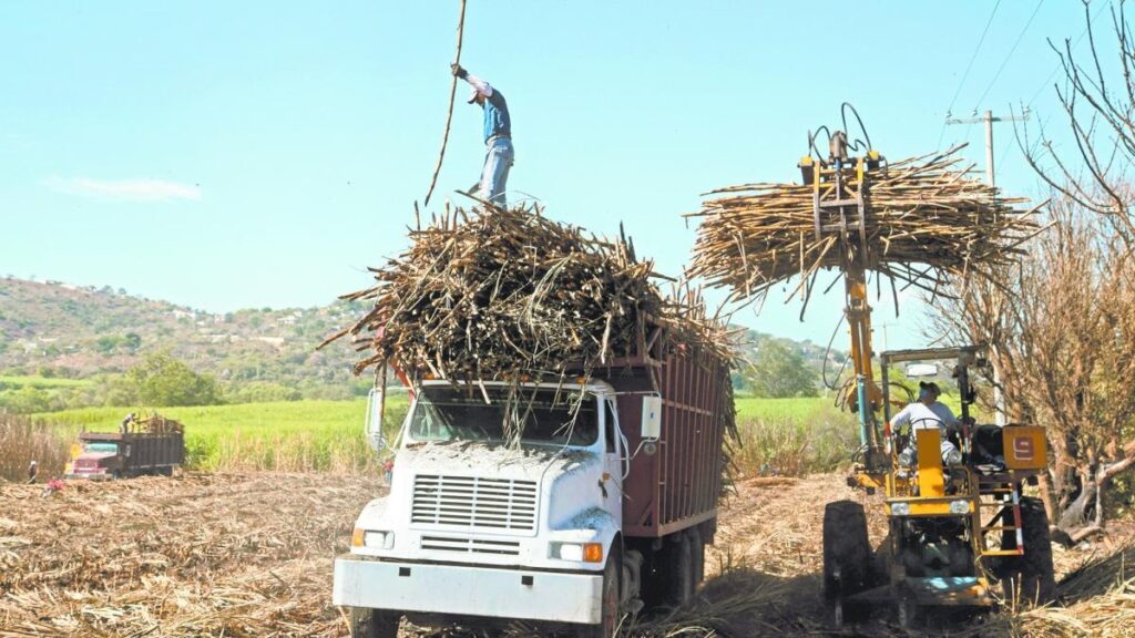 Hasta 3 mil litros de agua por cada kilo de azúcar