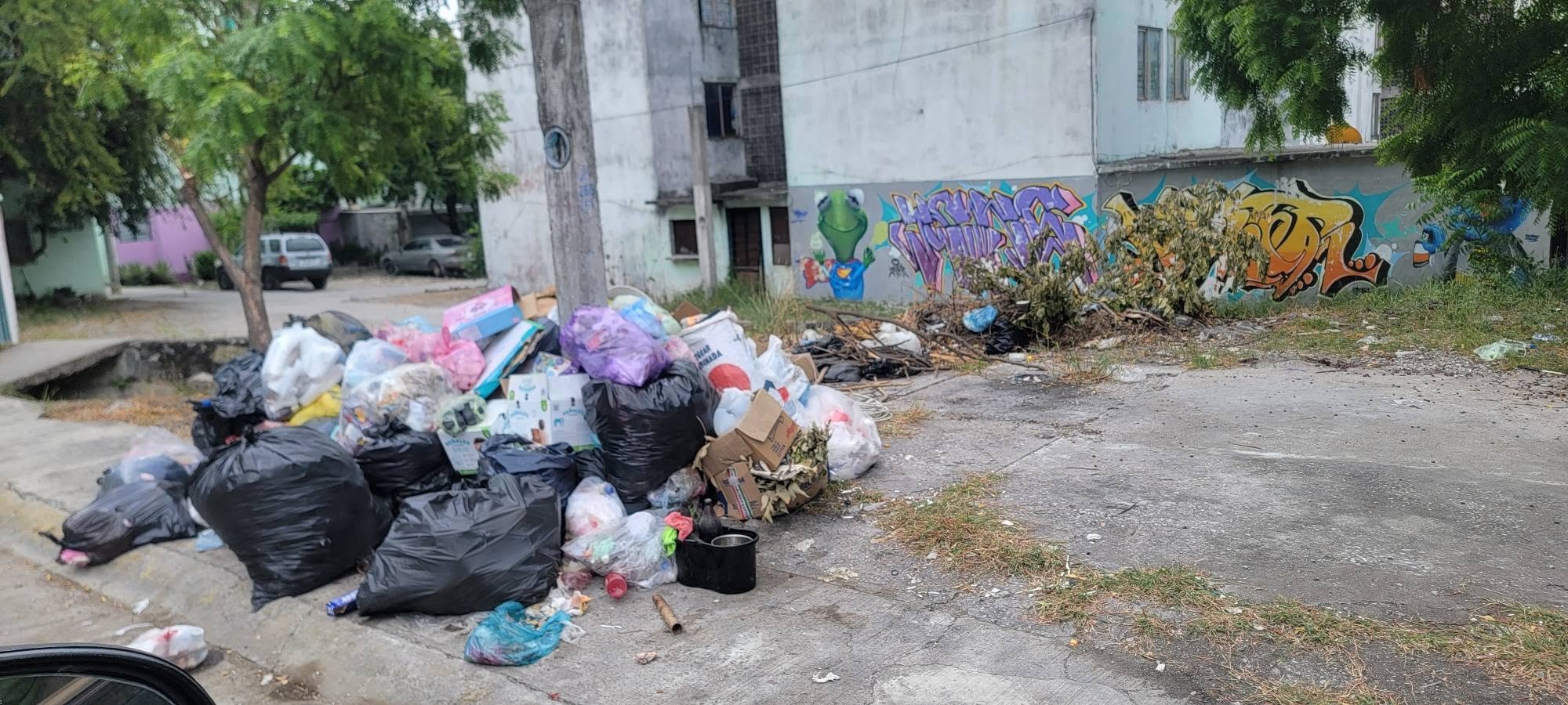 Ciudad Valles se ahoga en basura
