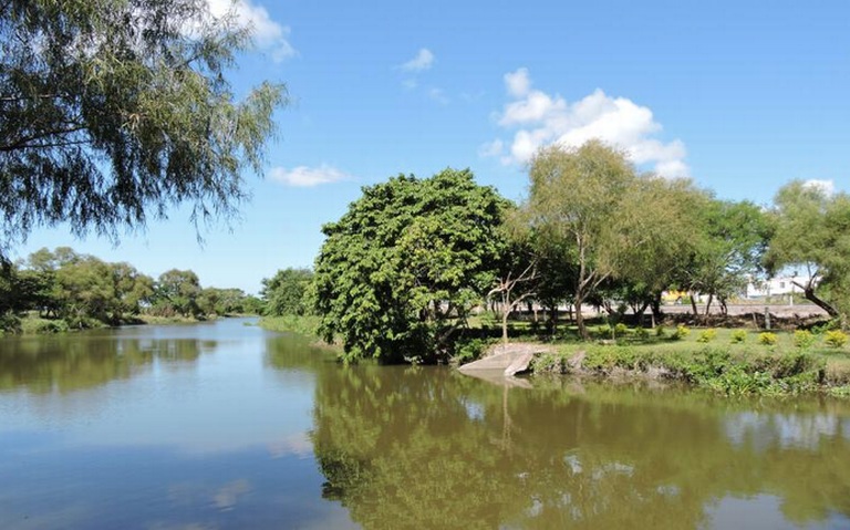 Tala, desplazamiento de fauna y contaminación traerá acueducto