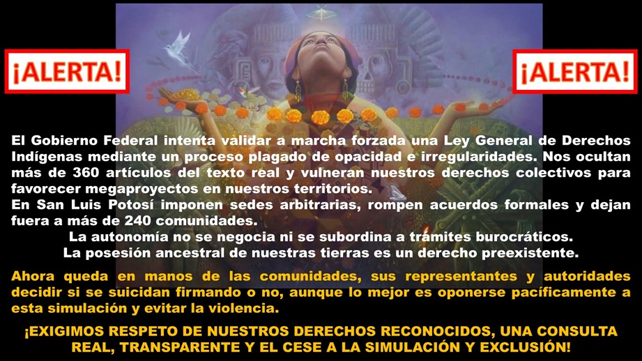LA CONSULTA DEL EJECUTIVO FEDERAL SOBRE LA LEY GENERAL DE DERECHOS INDÍGENAS: UN SIMULACRO DE MALA FE