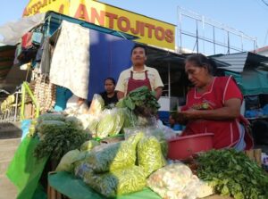 Comida y transporte acapara el gasto familiar