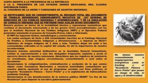Rechazan Ley de los pueblos indígena
