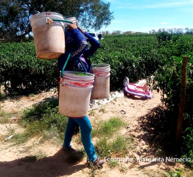 Mujeres jornaleras ganan menos y trabajan menos días contratadas